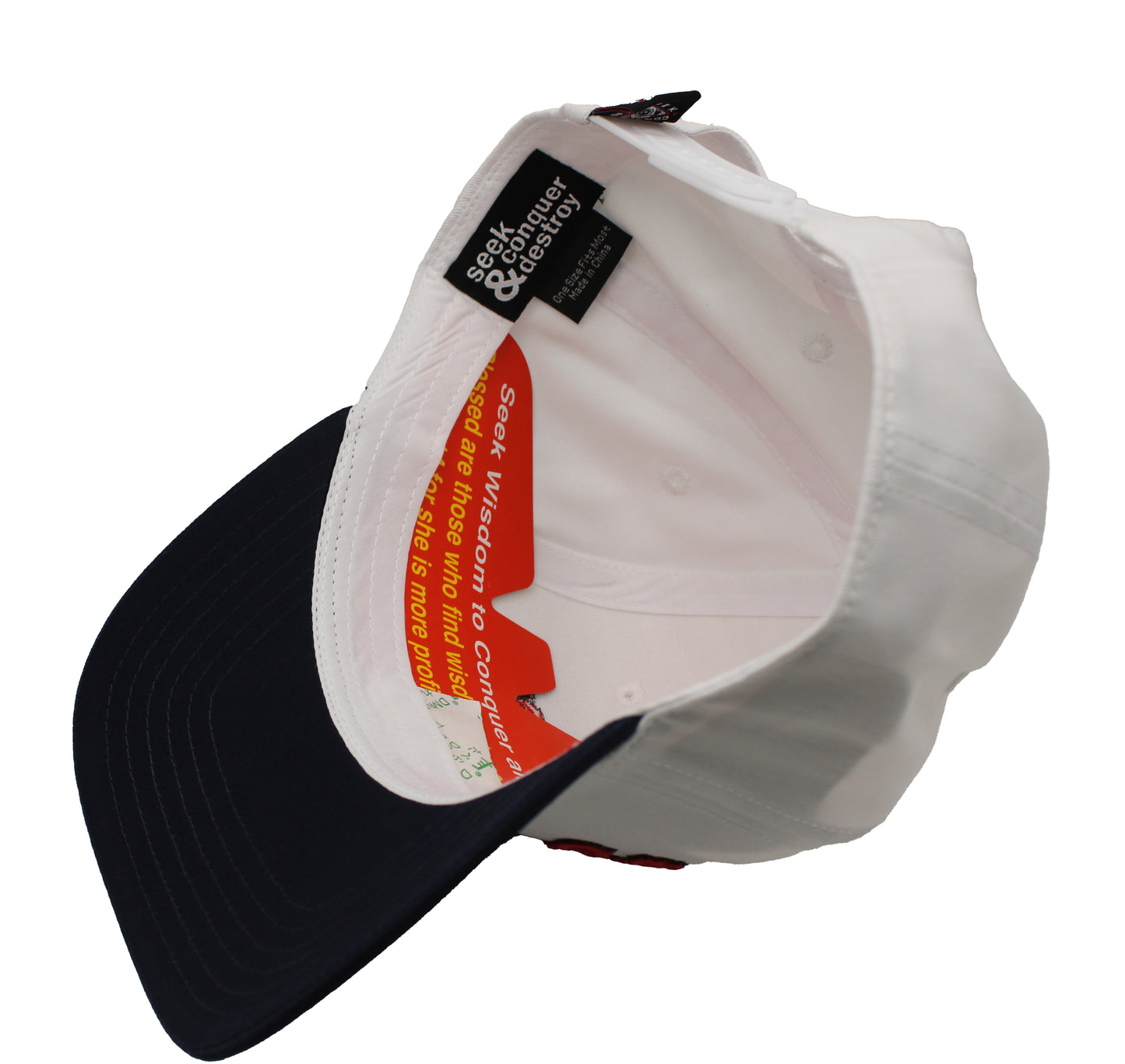 Seek Wisdom Conquer All Obstacles 5 panel Dad hat