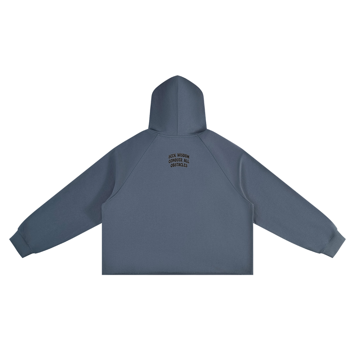 Seek Wisdom Conquer all Obstacles Eyes have thoughts Unisex Vintage Wash Raw Edge Boxy Hoodie